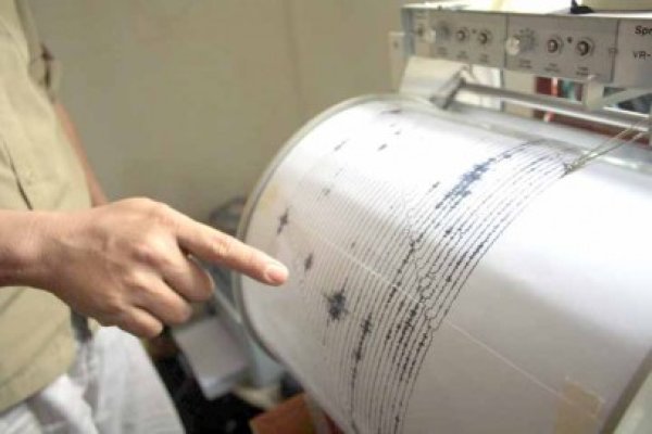 Un seism cu magnitudinea de 4,5 a zguduit Vrancea